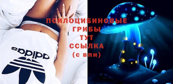 бошки Новодвинск