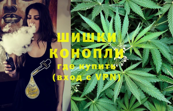 твердый Новокубанск