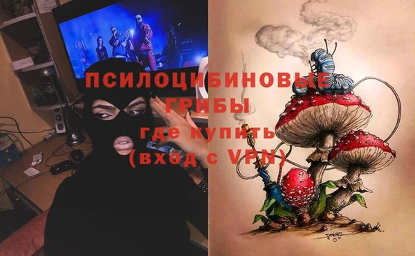 мдма Новозыбков