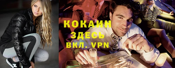 бошки Новодвинск