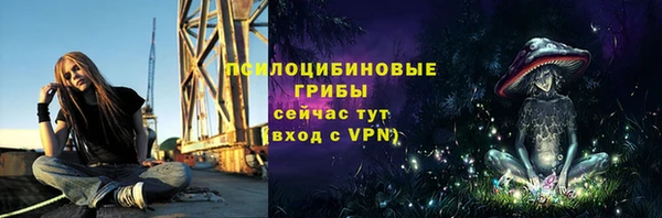 винт Билибино
